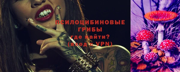 метадон Алексин